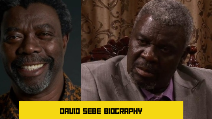 david sebe biography